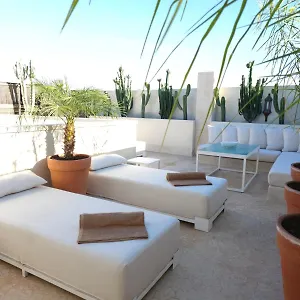Coconut Marrakesh